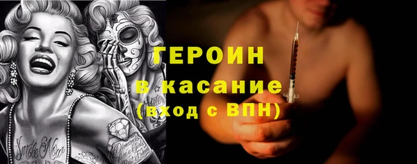 шишки Надым