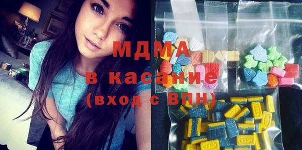 шишки Надым