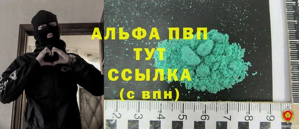 шишки Надым