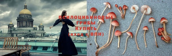 шишки Надым