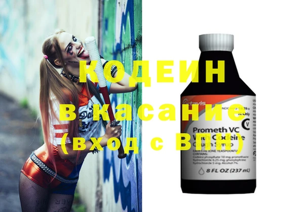 шишки Надым