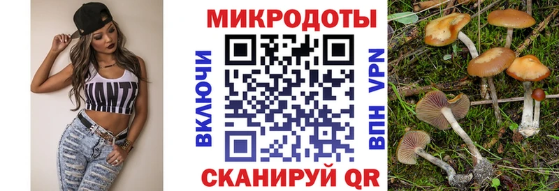 Псилоцибиновые грибы Magic Shrooms маркетплейс формула Пушкино