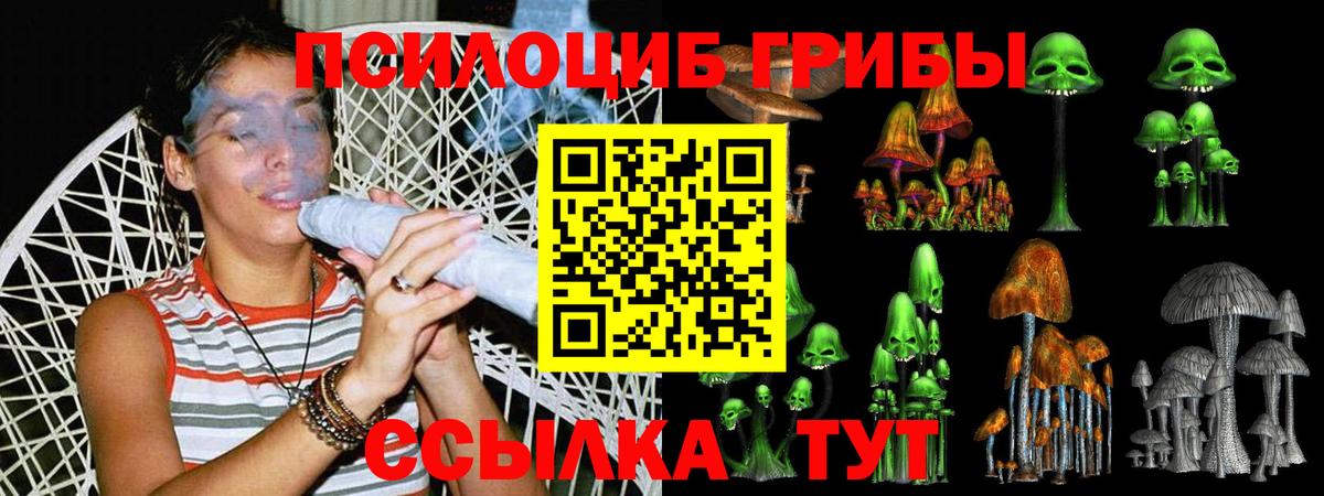 Псилоцибиновые грибы прущие грибы  Вход с VPN  Галлюциногенные грибы мицелий  Пушкино 