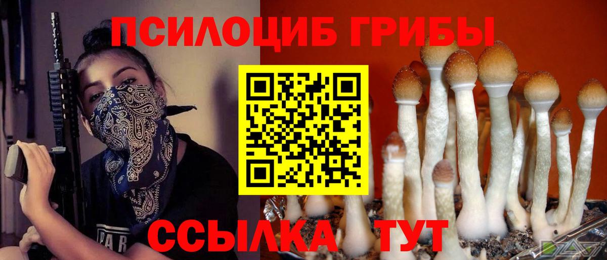 Псилоцибиновые грибы Cubensis Пушкино